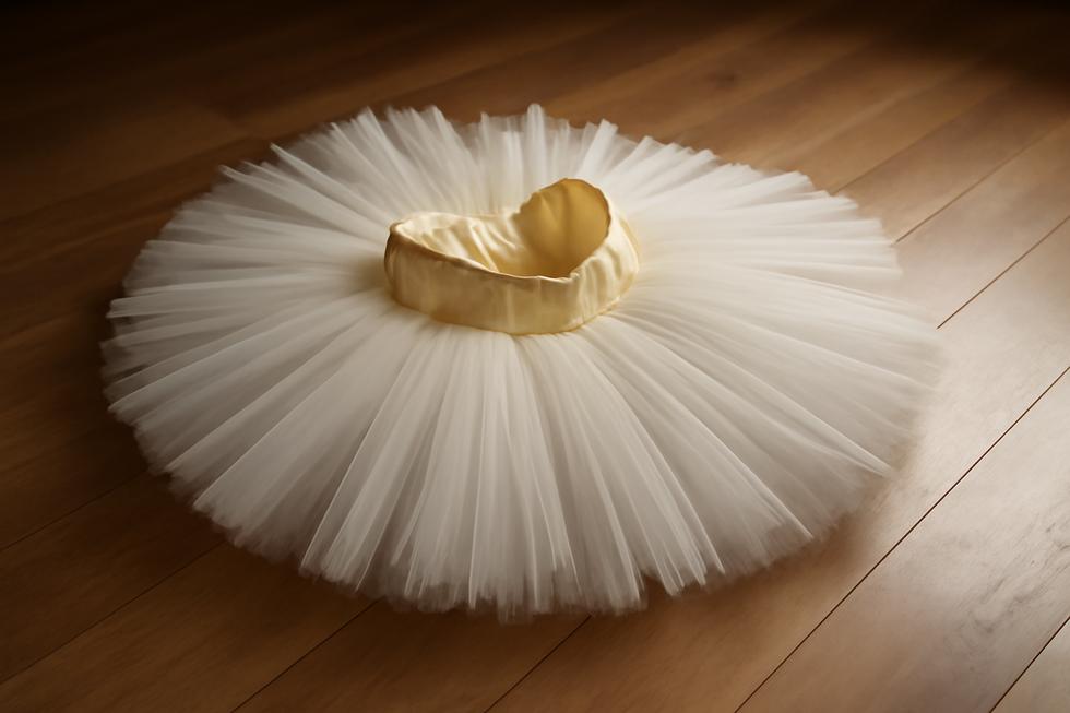 A ballet tutu skirt elegantly displayed in a dance studio, emphasizing its layers and fabric quality.