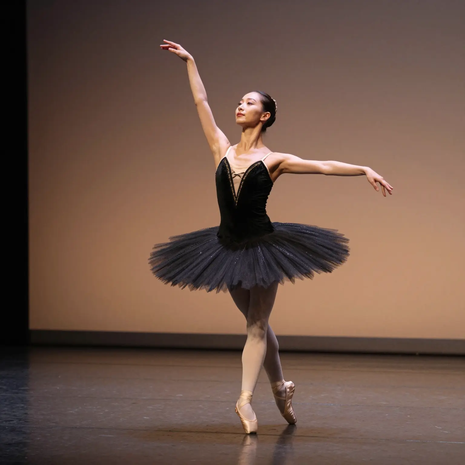 Black Tutu Dress on Stage