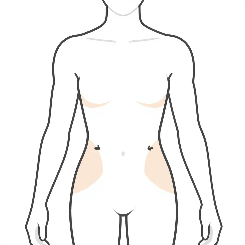 Flat line-art schematic of a human torso highlighting the underarm and hip friction zones where leotards pill